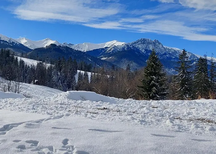 Tatrzanska Polana - Tatra Mountain View, Free Parking & Wifi