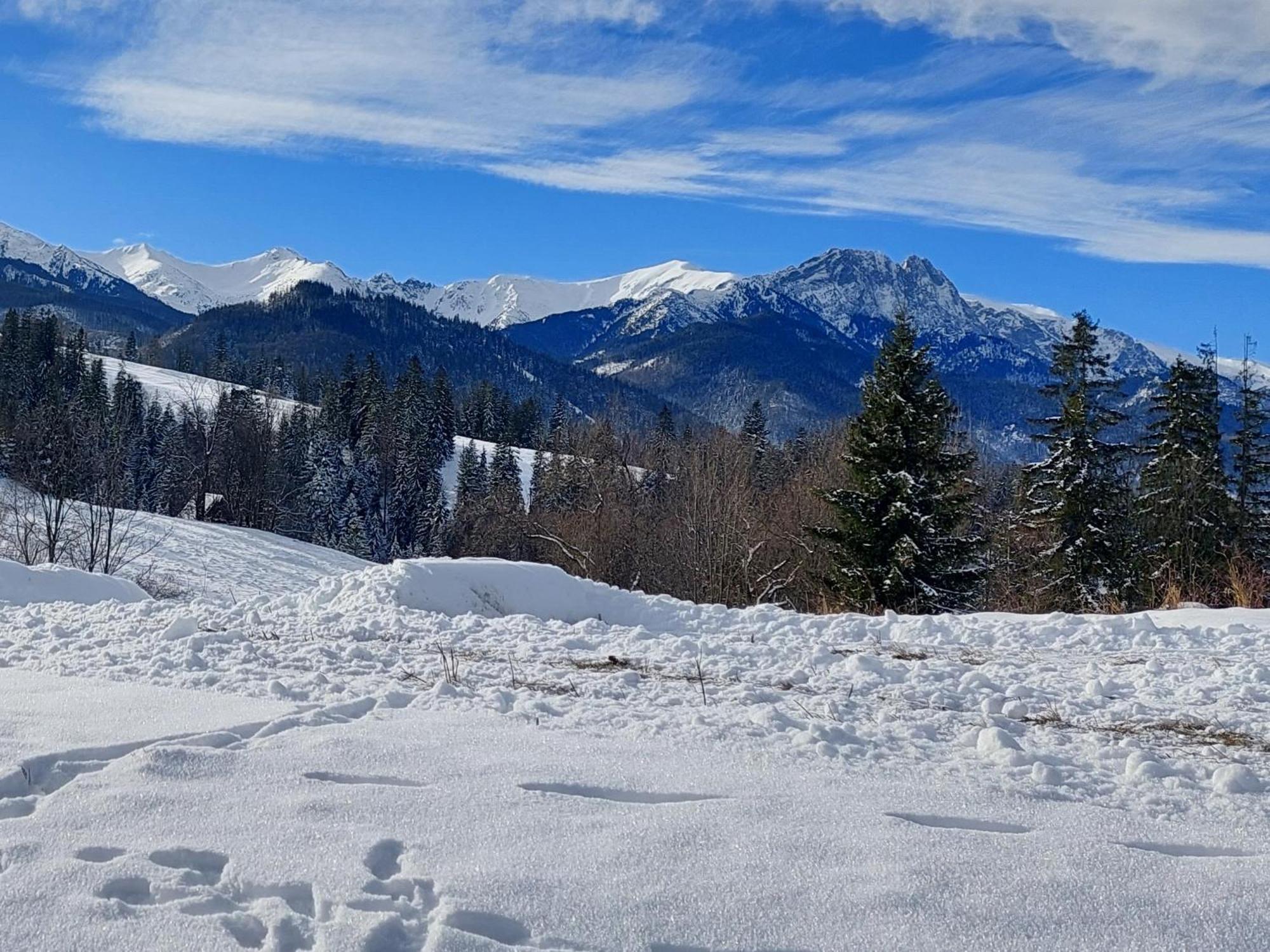 Apartmán Tatrzanska Polana - Tatra Mountain View, Free Parking & Wifi Zakopane